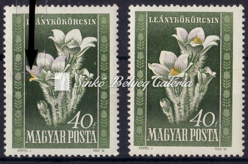 1950. Virág (I.)