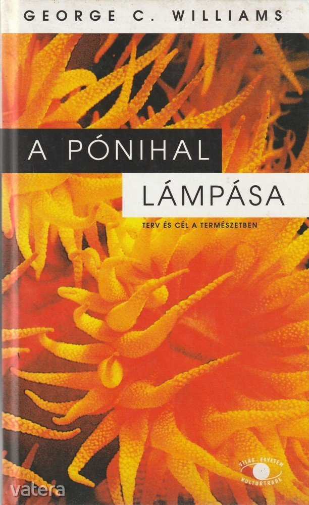 A pónihal lámpása