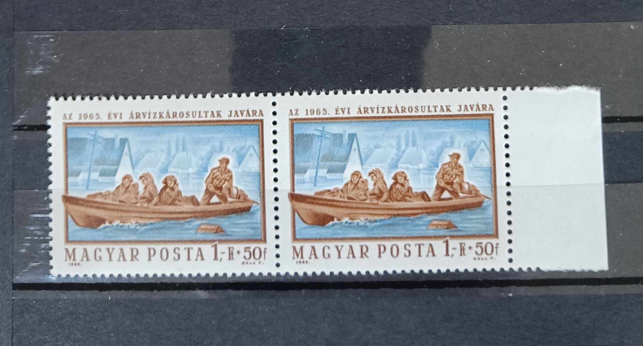 1965 Árvíz