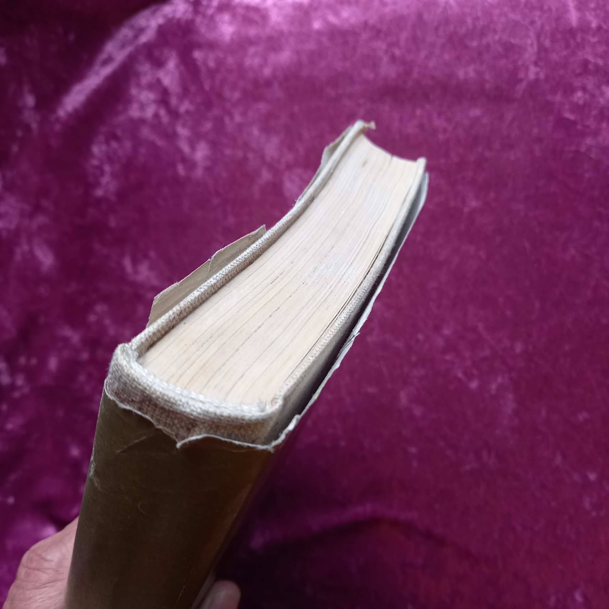 Rudyard Kipling: A dzsungel könyve