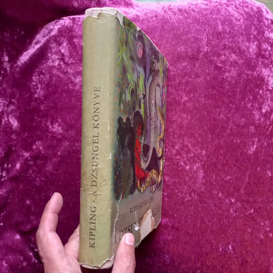 Rudyard Kipling: A dzsungel könyve