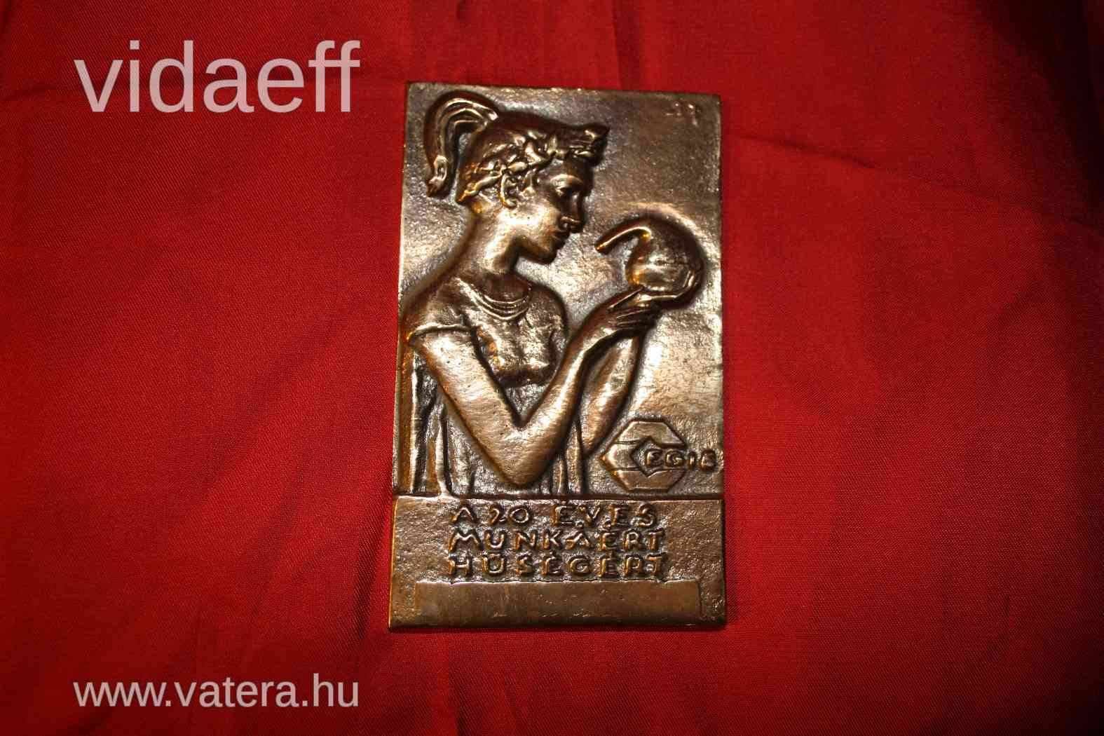 EGIS 20 éves munkáért plakett