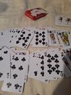 Julius Meinl Pokerkarten