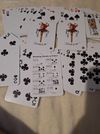 Julius Meinl Pokerkarten