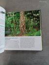 Reader's Digest - Titokzatos Természet