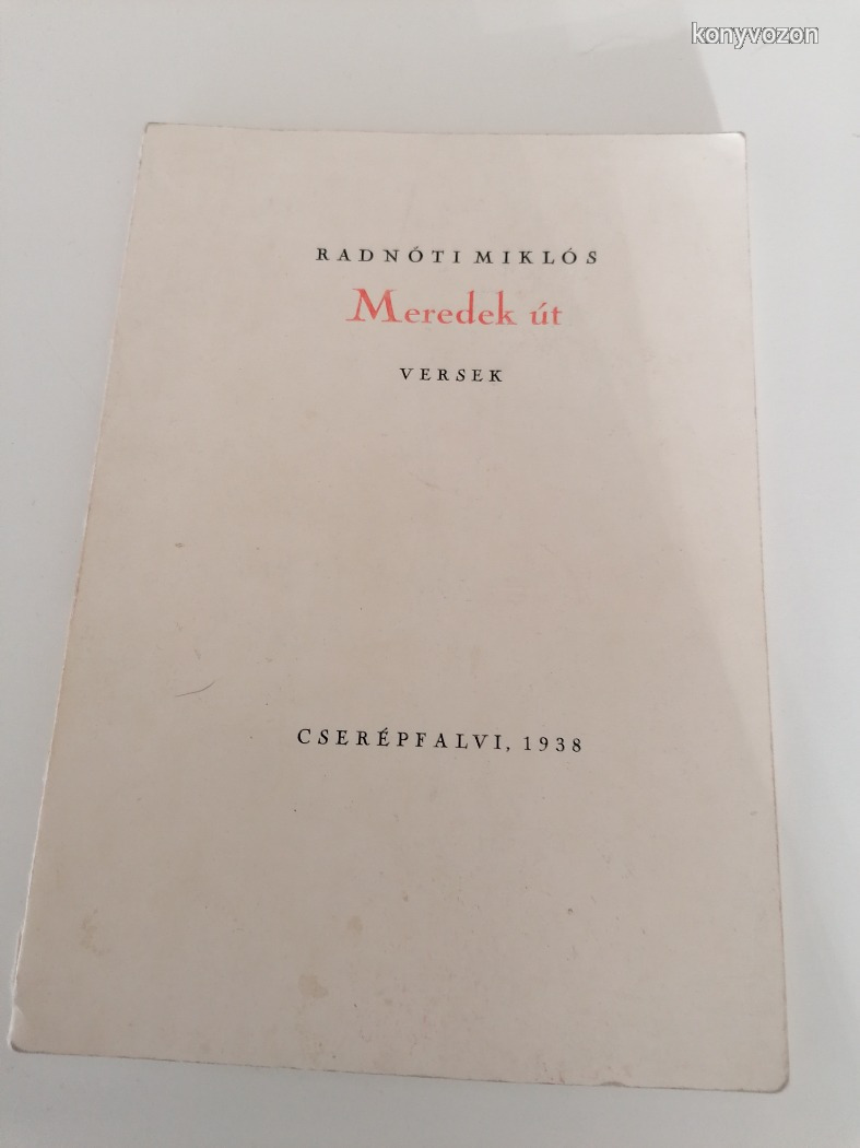 Radnóti Miklós: Meredek út