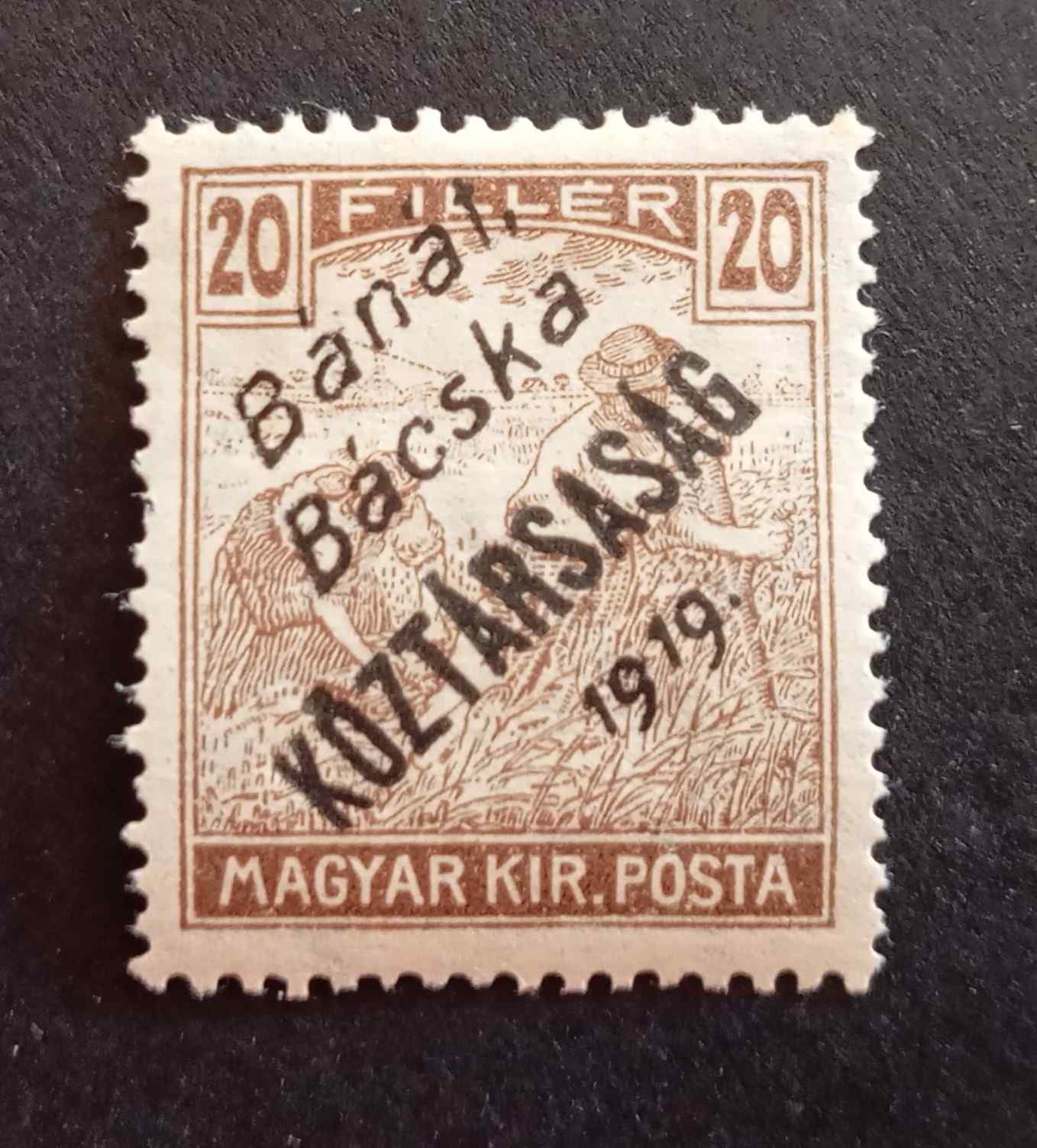 Magyarország 1919 Bánát-Bácska Arató/Köztársaság 20 F * falcos H
