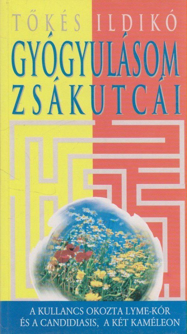Gyógyulásom zsákutcái