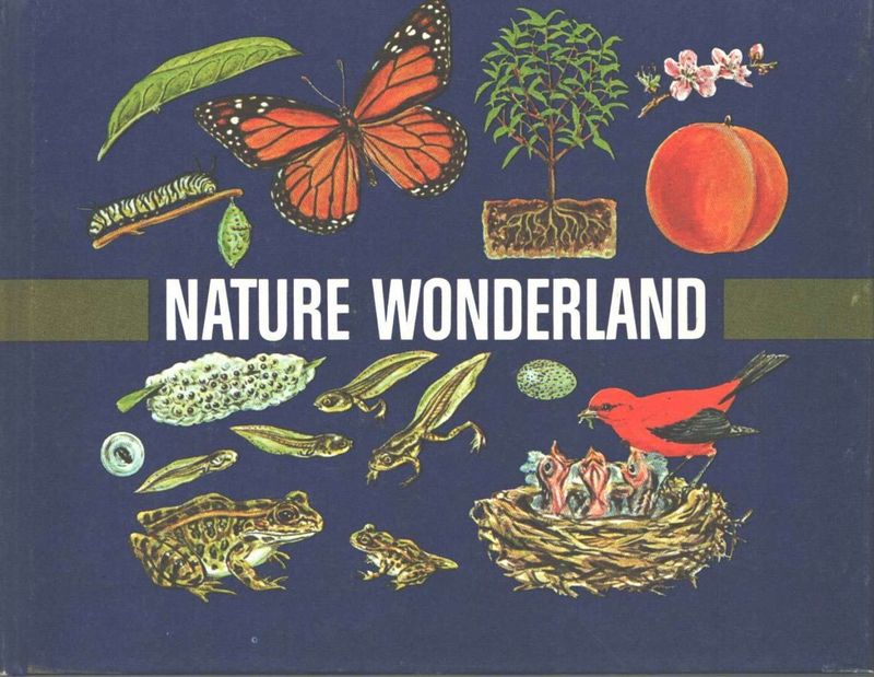 Nature Wonderland