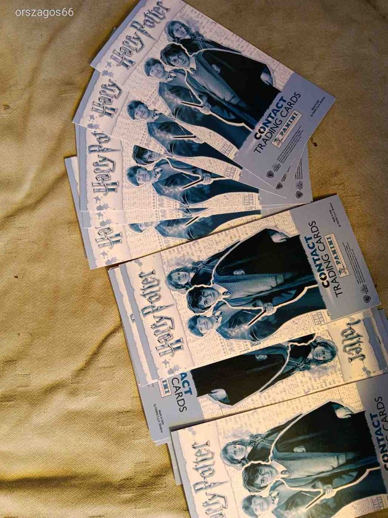 HARRY POTTER--PANINI