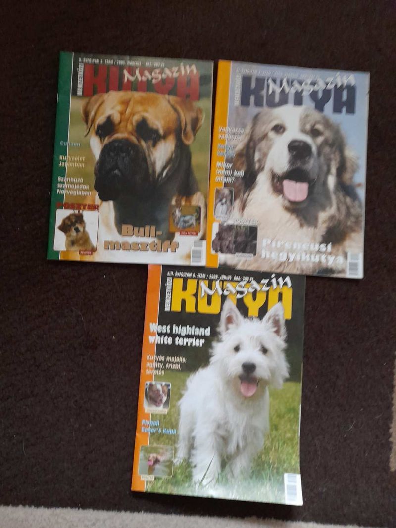 Kutya magazin