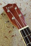 Ukulele - Bendzsó - Banjolele