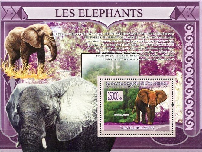 Elefánt postatiszta blokk (Guinea) II.
