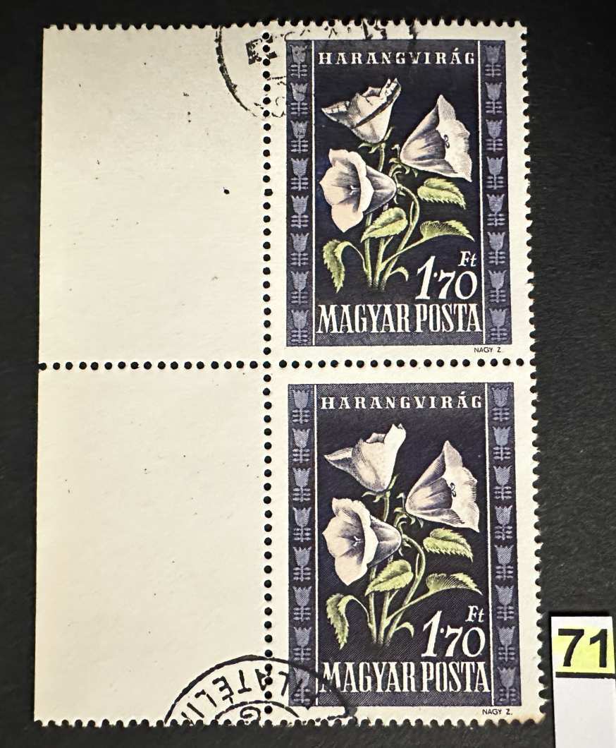 MAGYARORSZÁG 1950 VIRÁG I.  1.70FT BÉLYEG BAL ÍVSZÉLES PÁR           -71.-