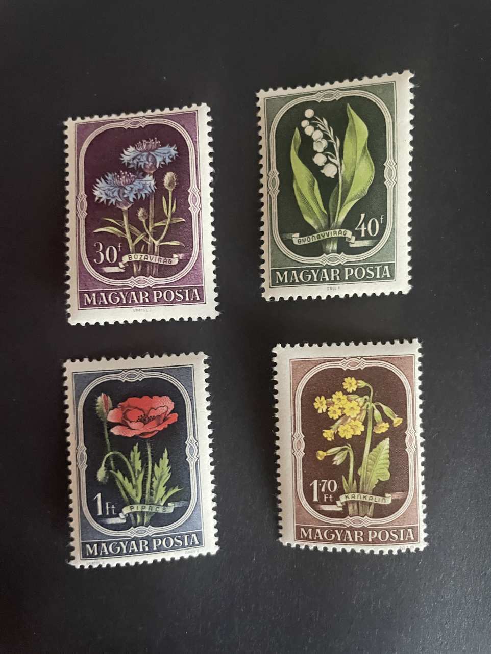 magyarorszag viragok falcos 1951