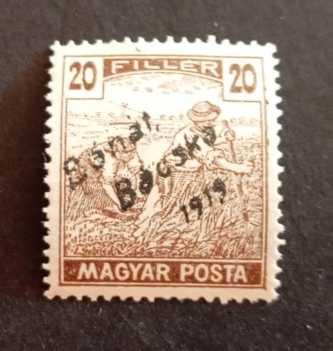 Magyarország 1919 Bánát-Bácska Magyar Posta 20 F falcos H