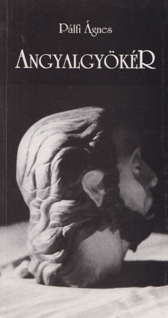 Angyalgyökér