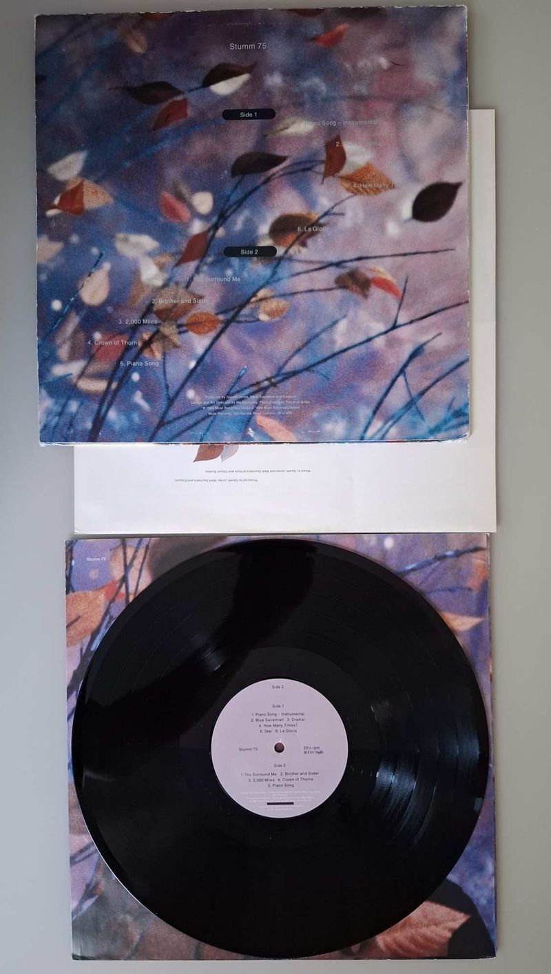 ERASURE - WILD LP