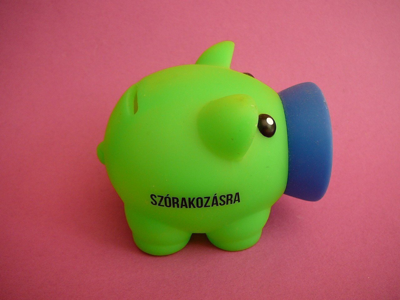 malac persely, szórakozásra