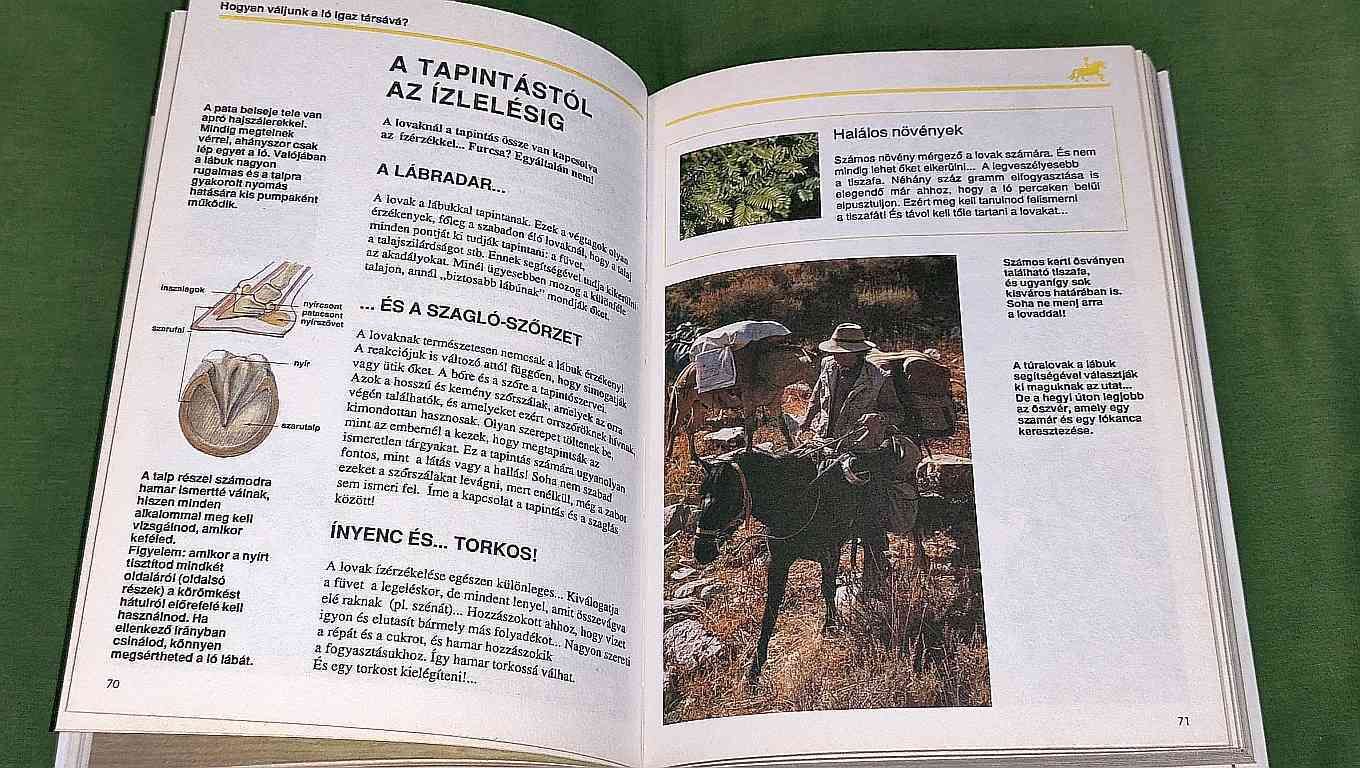 A LOVAK VILÁGA
