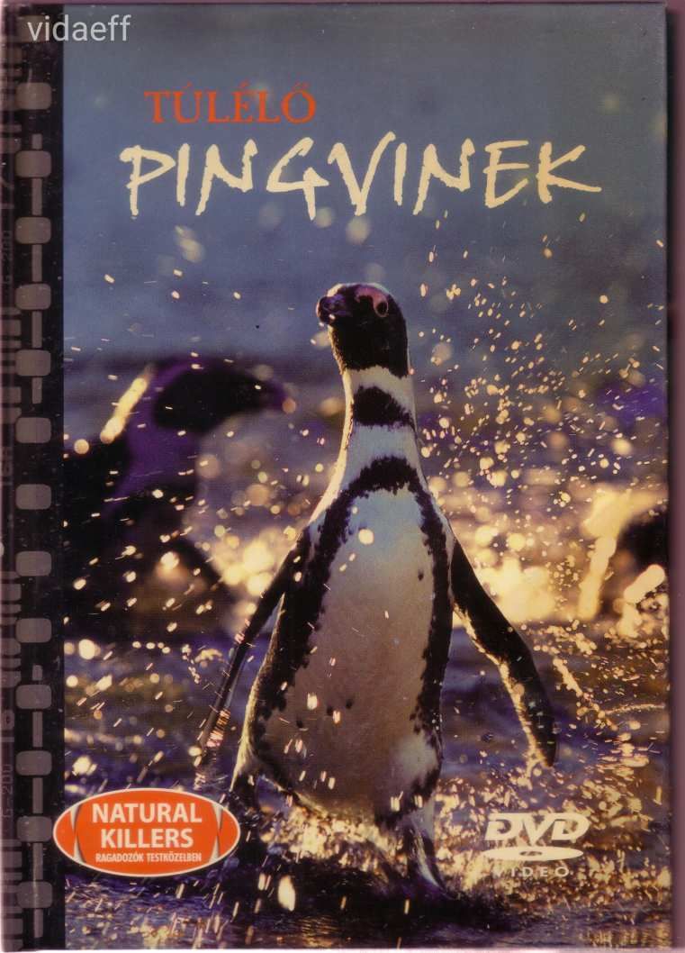 Natural Killers - Túlélő pingvinek