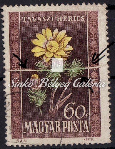 1950. Virág (I.)