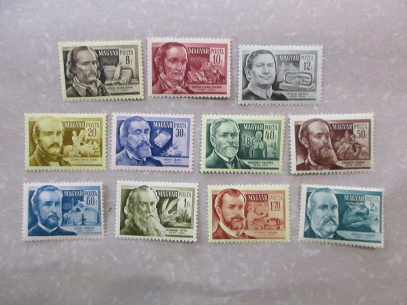 1954.  Tudósok**