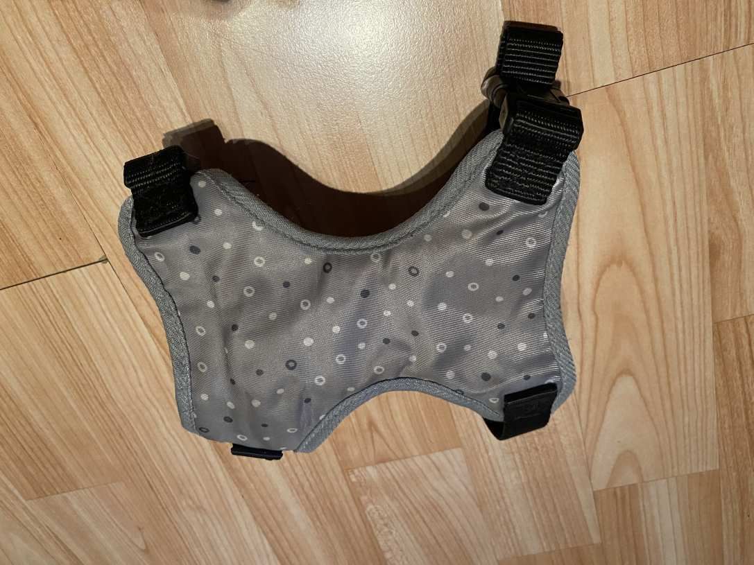 kutyus hám kis méretű