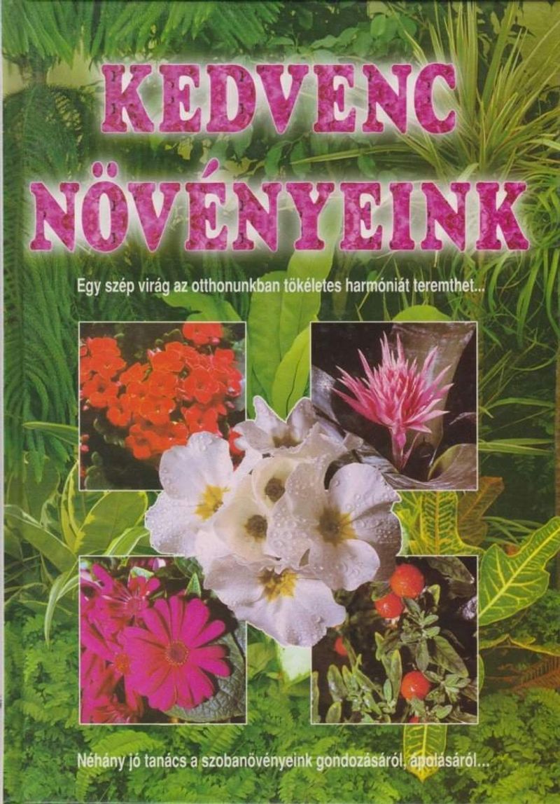 Kedvenc növényeink