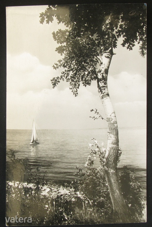 Balaton, tájkép vitorlással