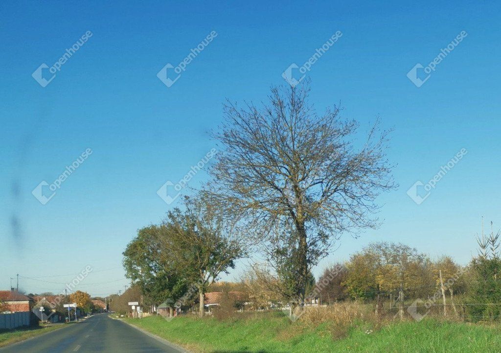 Termőföld, szántó Sármellék