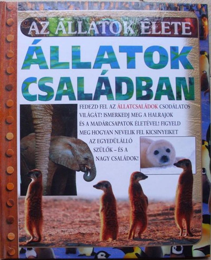Állatok családban