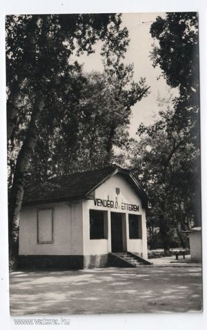 Makó - strandvendéglő, 1961