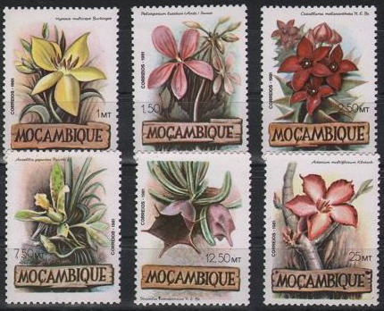 1981. Mozambik - Virágok **