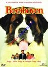 Beethoven (használt)