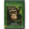 Oscar, a csimpánz - DVD